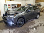 2021 Toyota Rav4 Le Gray vin: 2T3F1RFV6MW141042