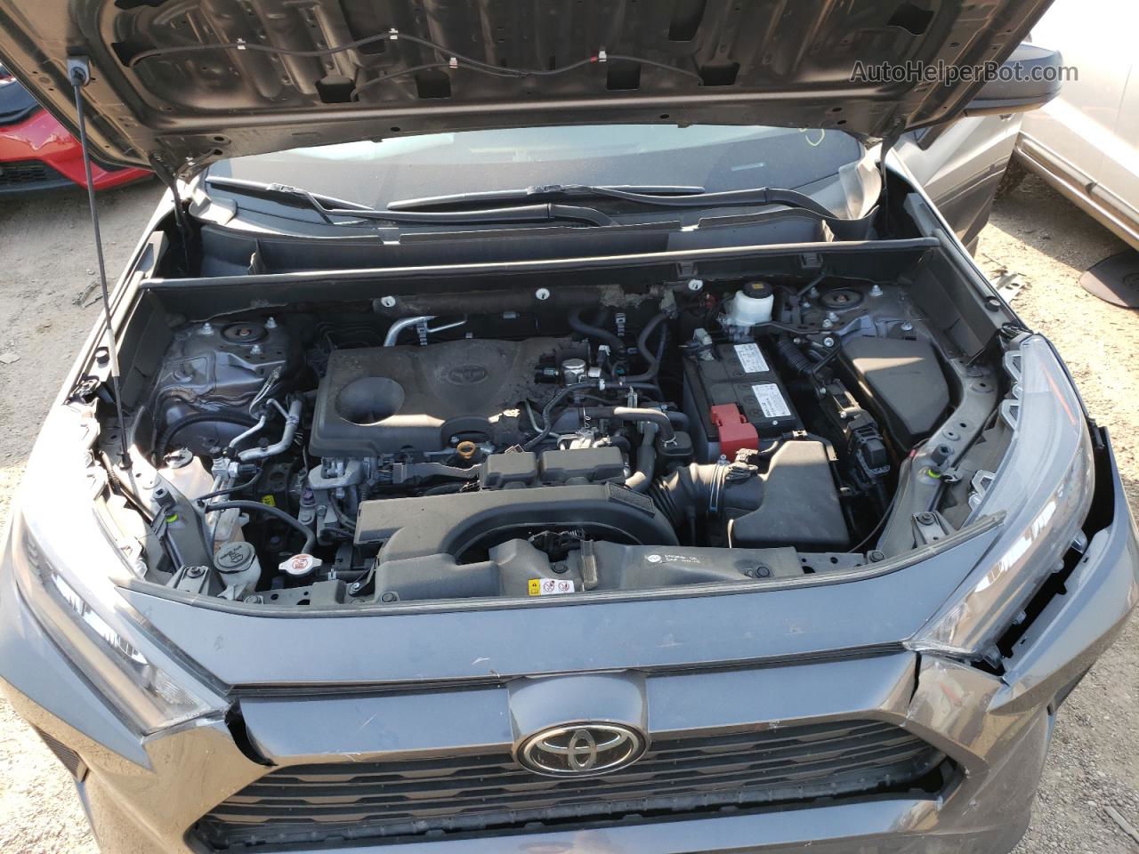 2019 Toyota Rav4 Le Gray vin: 2T3F1RFV7KC015531