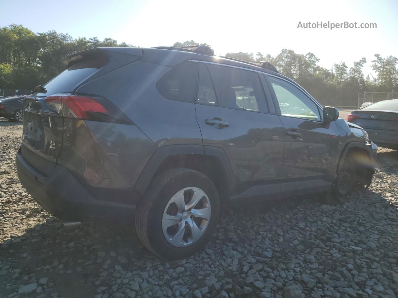 2019 Toyota Rav4 Le Charcoal vin: 2T3F1RFV7KW022896