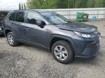 2021 Toyota Rav4 Le Угольный vin: 2T3F1RFV7MW186653