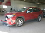 2021 Toyota Rav4 Le Red vin: 2T3F1RFV9MW198965