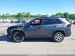 2019 Toyota Rav4 Le Gray vin: 2T3F1RFVXKW083594