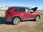 2021 Toyota Rav4 Le Maroon vin: 2T3G1RFV2MW235617