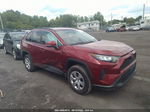 2019 Toyota Rav4 Le Red vin: 2T3G1RFV7KC042653