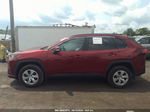 2019 Toyota Rav4 Le Red vin: 2T3G1RFV7KC042653