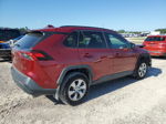 2019 Toyota Rav4 Le Burgundy vin: 2T3H1RFV2KW002306