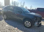 2019 Toyota Rav4 Le Gray vin: 2T3H1RFV6KW039939