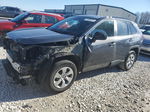 2019 Toyota Rav4 Le Gray vin: 2T3H1RFV6KW039939