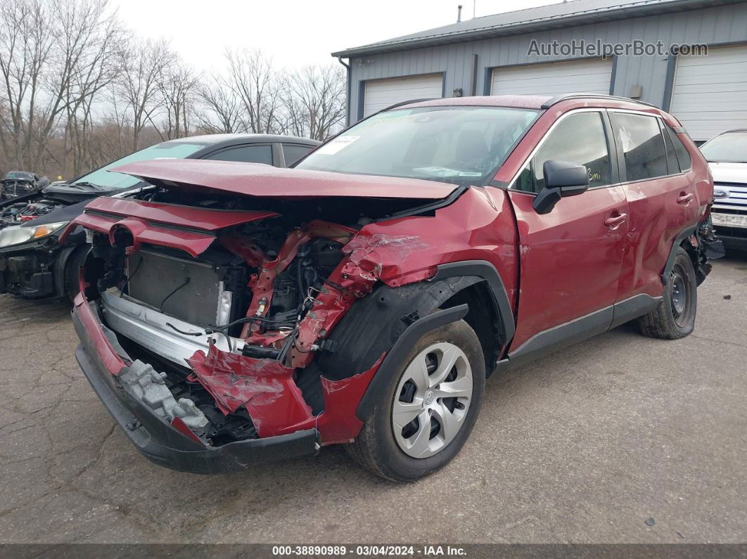 2019 Toyota Rav4 Le Maroon vin: 2T3H1RFV6KW045336