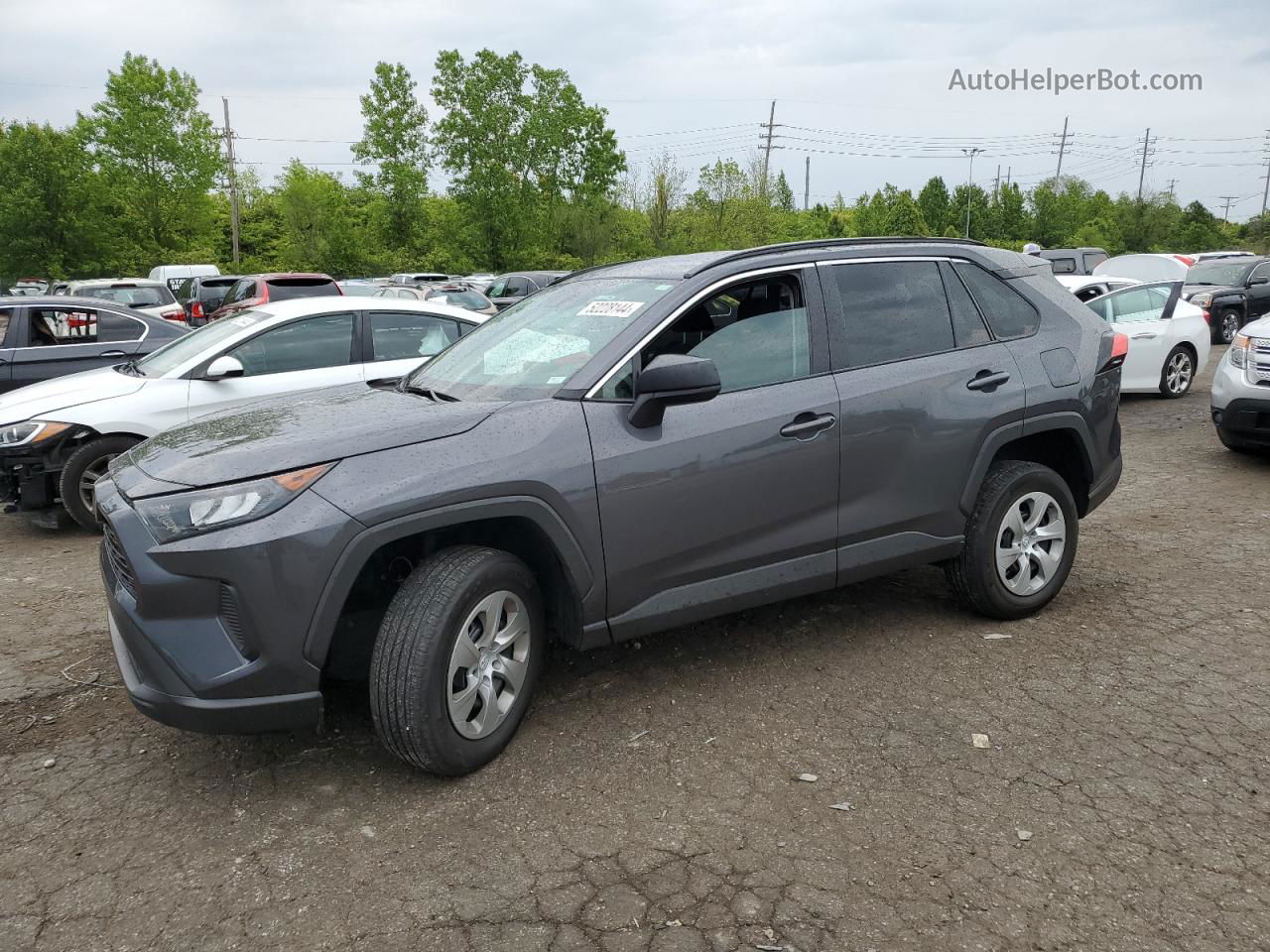 2019 Toyota Rav4 Le Gray vin: 2T3H1RFV6KW053646