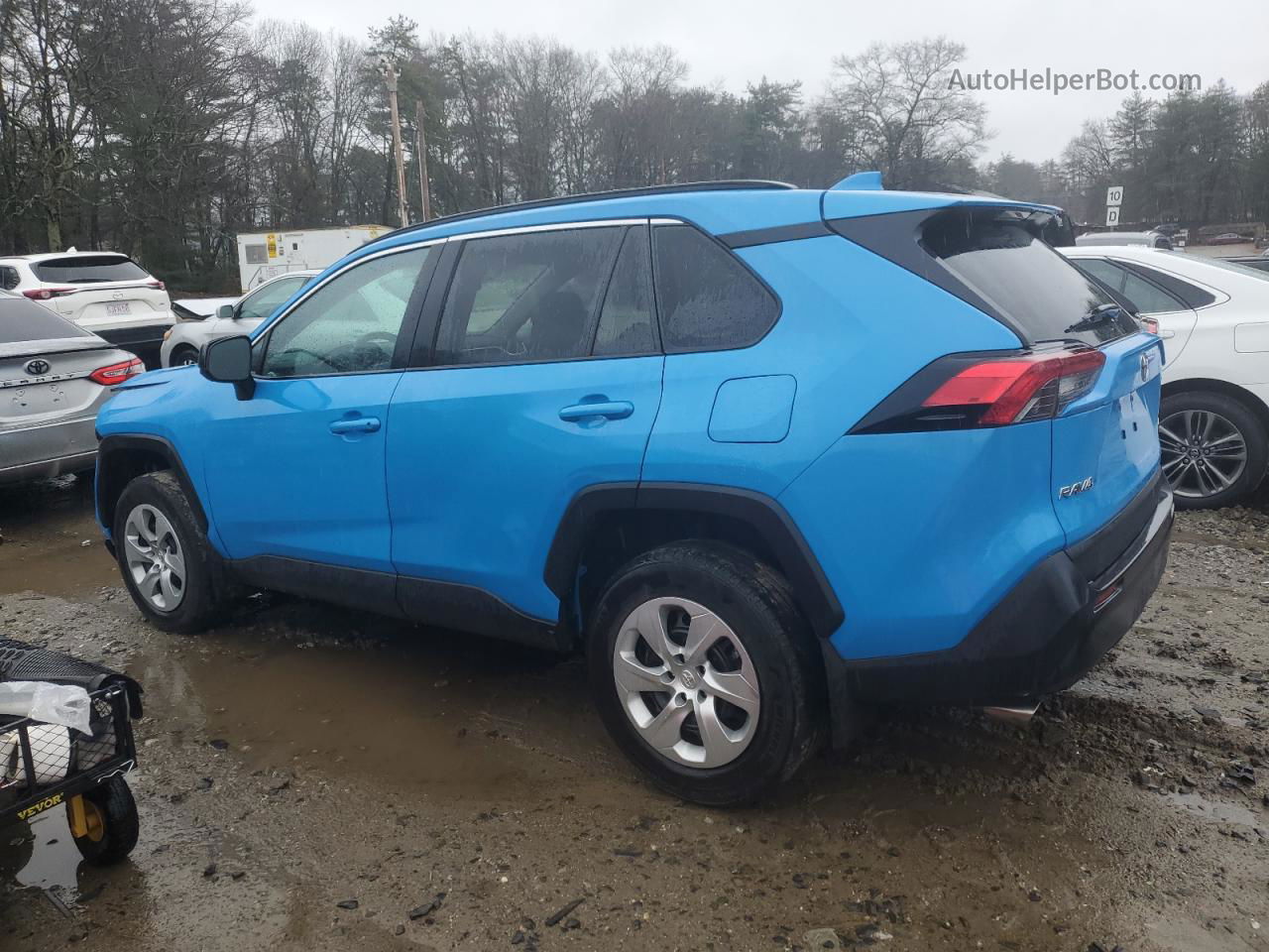 2019 Toyota Rav4 Le Blue vin: 2T3H1RFV8KW038775