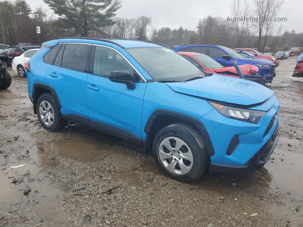 2019 Toyota Rav4 Le Blue vin: 2T3H1RFV8KW038775