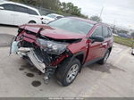 2021 Toyota Rav4 Le Red vin: 2T3H1RFV9MW108478