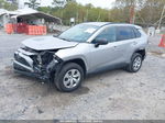 2021 Toyota Rav4 Le Gray vin: 2T3H1RFVXMW143157