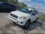 2010 Toyota Rav4   White vin: 2T3JF4DV0AW031147