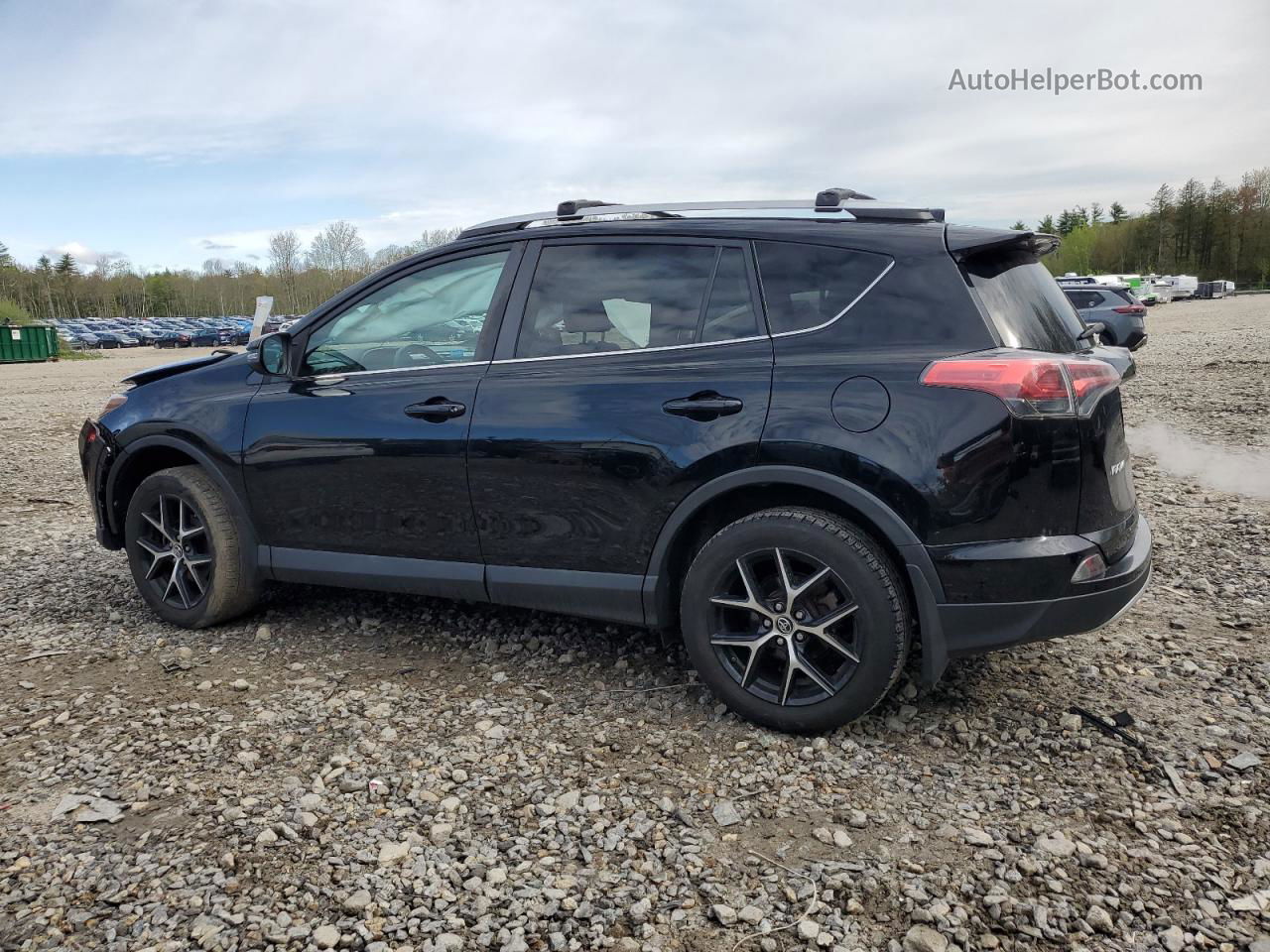 2016 Toyota Rav4 Se Черный vin: 2T3JFREV1GW448328