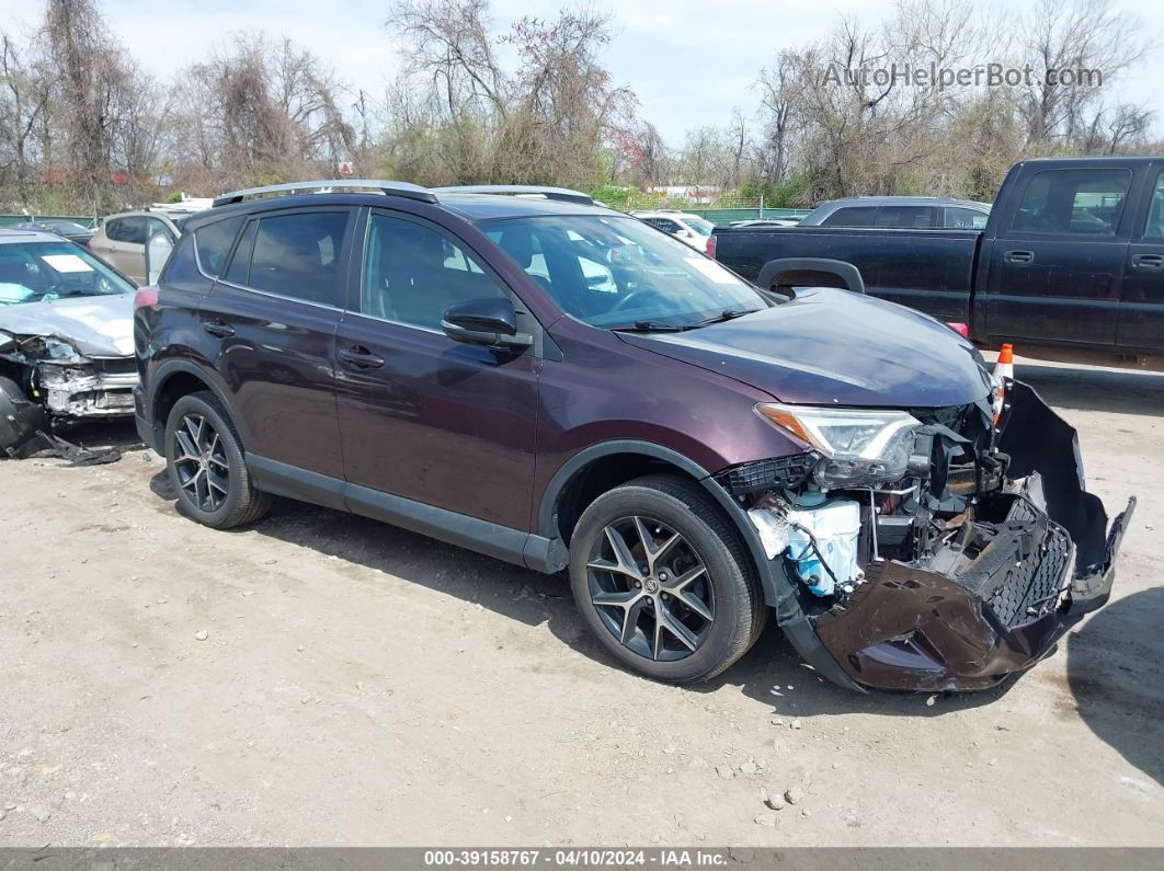 2016 Toyota Rav4 Se Purple vin: 2T3JFREV5GW443617