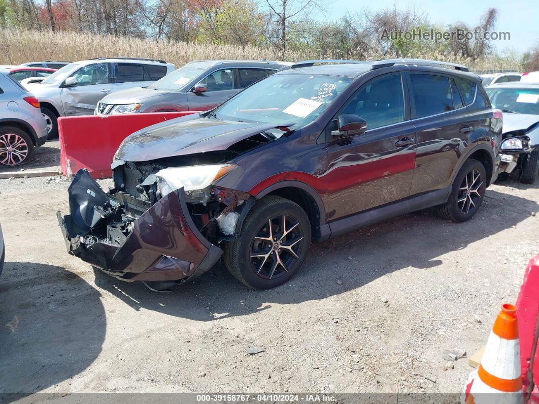 2016 Toyota Rav4 Se Purple vin: 2T3JFREV5GW443617