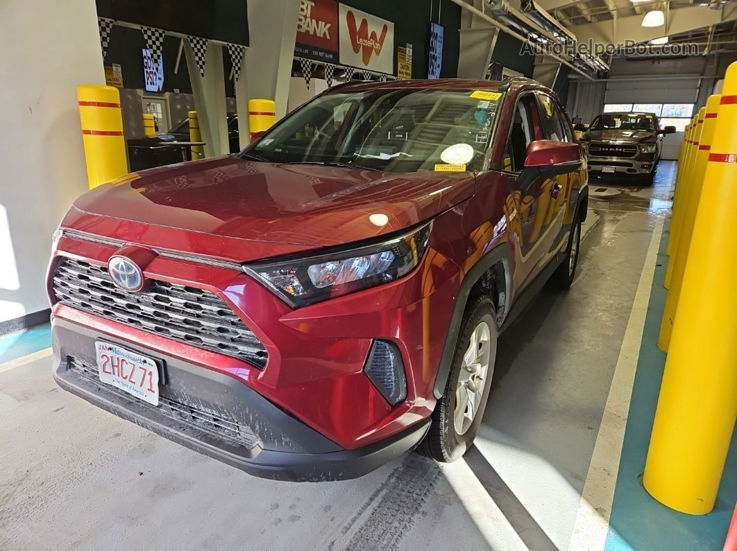 2019 Toyota Rav4 Le vin: 2T3MWRFV3KW041289