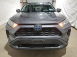 2019 Toyota Rav4 Le Charcoal vin: 2T3MWRFV4KW005420