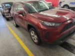 2019 Toyota Rav4 Le vin: 2T3MWRFV6KW039259