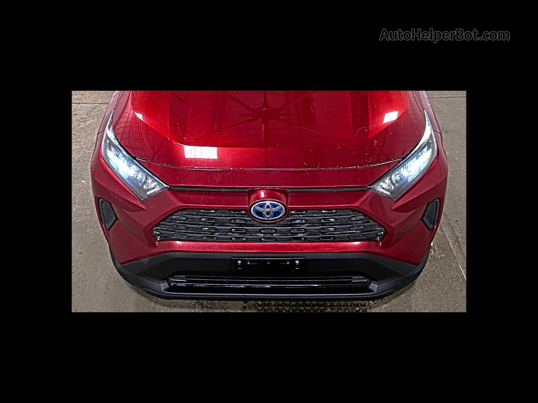 2019 Toyota Rav4 Le vin: 2T3MWRFV7KW038914