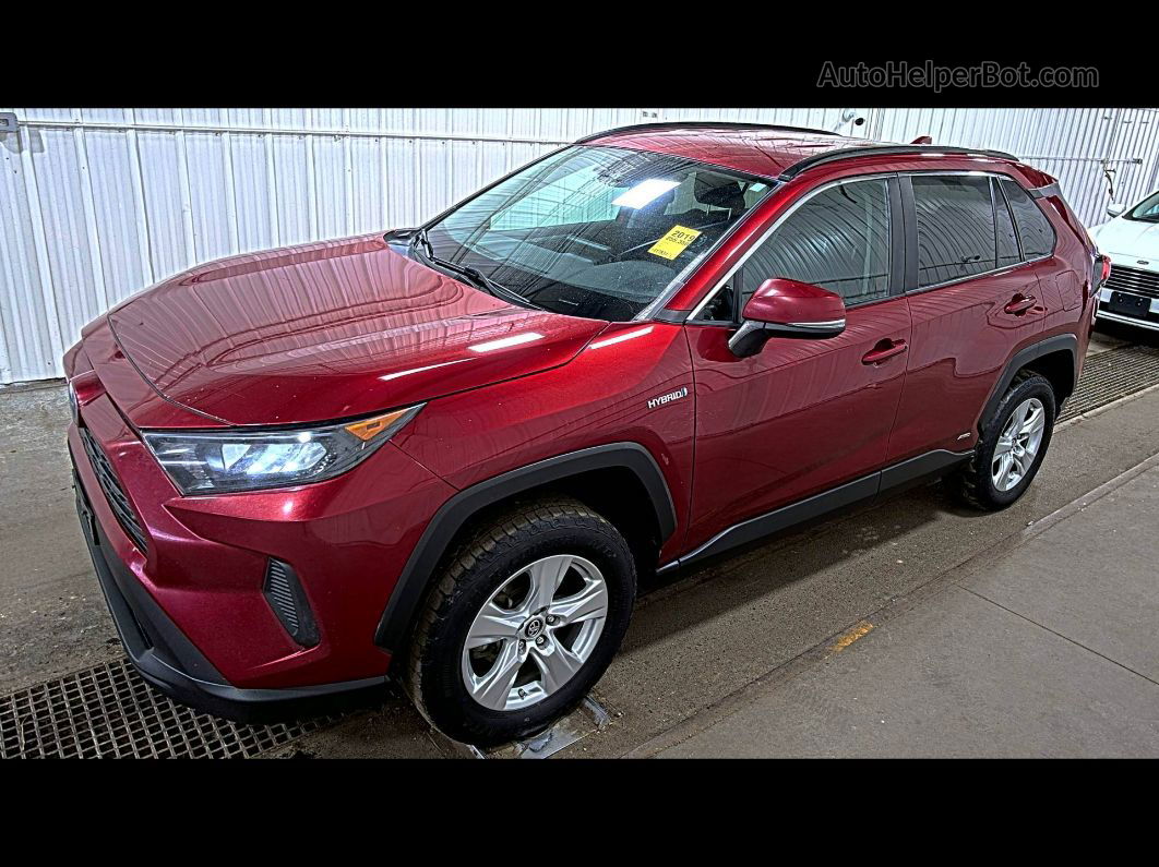 2019 Toyota Rav4 Le vin: 2T3MWRFV7KW038914