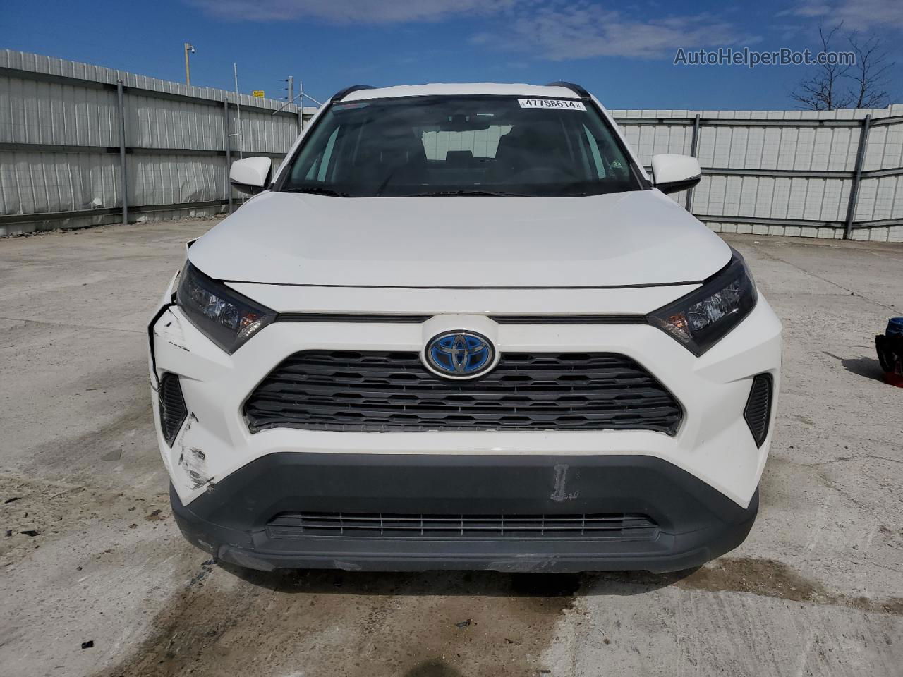 2019 Toyota Rav4 Le Белый vin: 2T3MWRFV9KW003713