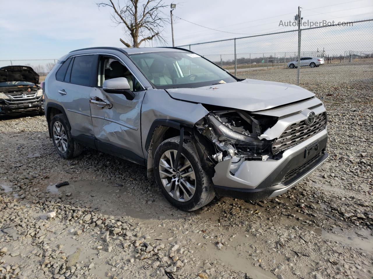 2019 Toyota Rav4 Limited Silver vin: 2T3N1RFVXKW050915