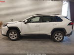 2021 Toyota Rav4 Xle White vin: 2T3P1RFV4MC223888