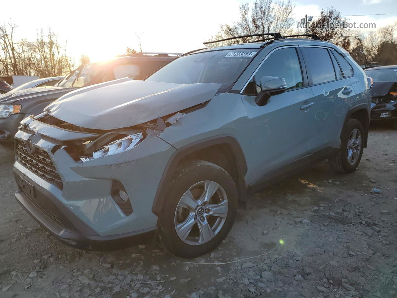 2019 Toyota Rav4 Xle Gray vin: 2T3P1RFV5KW040558