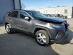 2019 Toyota Rav4 Xle Gray vin: 2T3P1RFV5KW069929