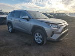 2019 Toyota Rav4 Xle Серый vin: 2T3P1RFV6KC018036