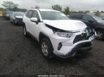 2021 Toyota Rav4 Xle White vin: 2T3P1RFV6MW184235