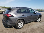 2019 Toyota Rav4 Xle Gray vin: 2T3P1RFV7KW001292