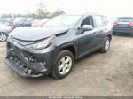 2020 Toyota Rav4 Xle Gray vin: 2T3P1RFV7LW129727