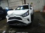 2020 Toyota Rav4 Xle White vin: 2T3P1RFV8LC092995