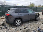 2019 Toyota Rav4 Xle Gray vin: 2T3P1RFV9KW058397