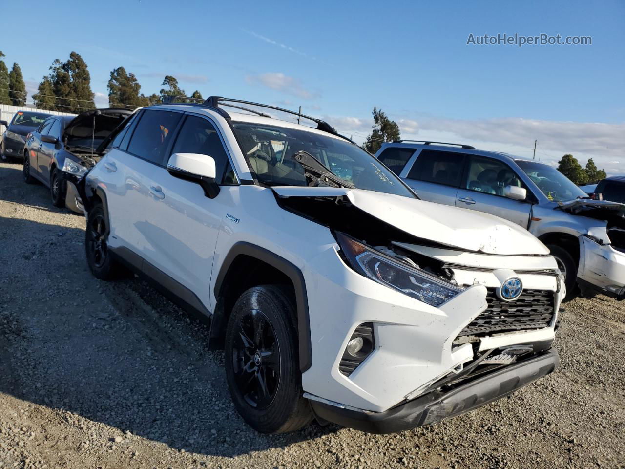 2021 Toyota Rav4 Xle White vin: 2T3R6RFV6MW004665