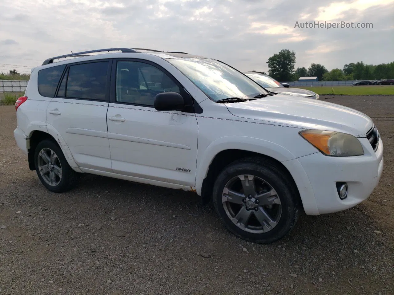 2010 Toyota Rav4 Sport White vin: 2T3RF4DV0AW030387