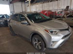 2016 Toyota Rav4 Xle Gray vin: 2T3RFREV1GW453970