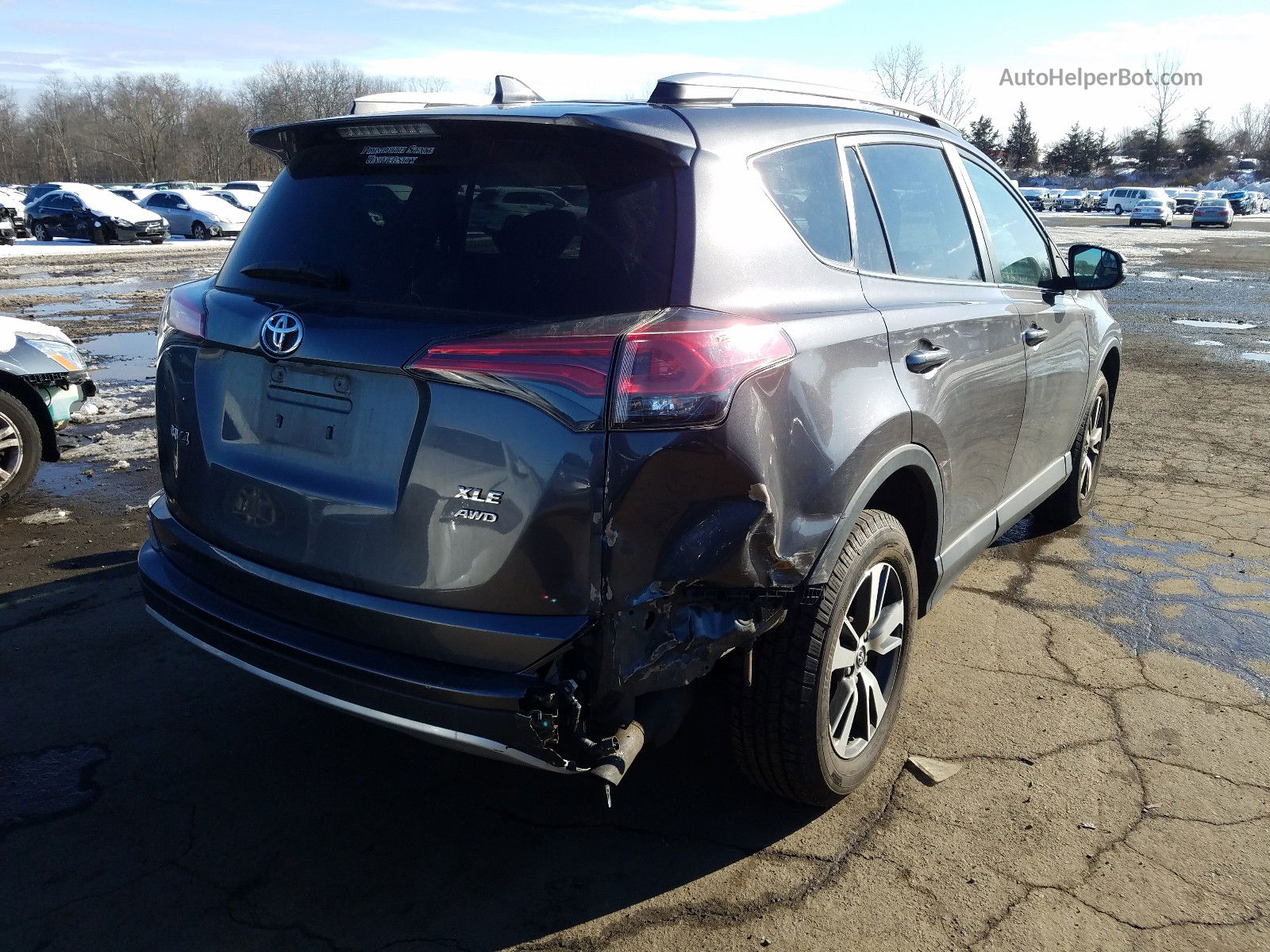 2016 Toyota Rav4 Xle Gray vin: 2T3RFREV1GW537786