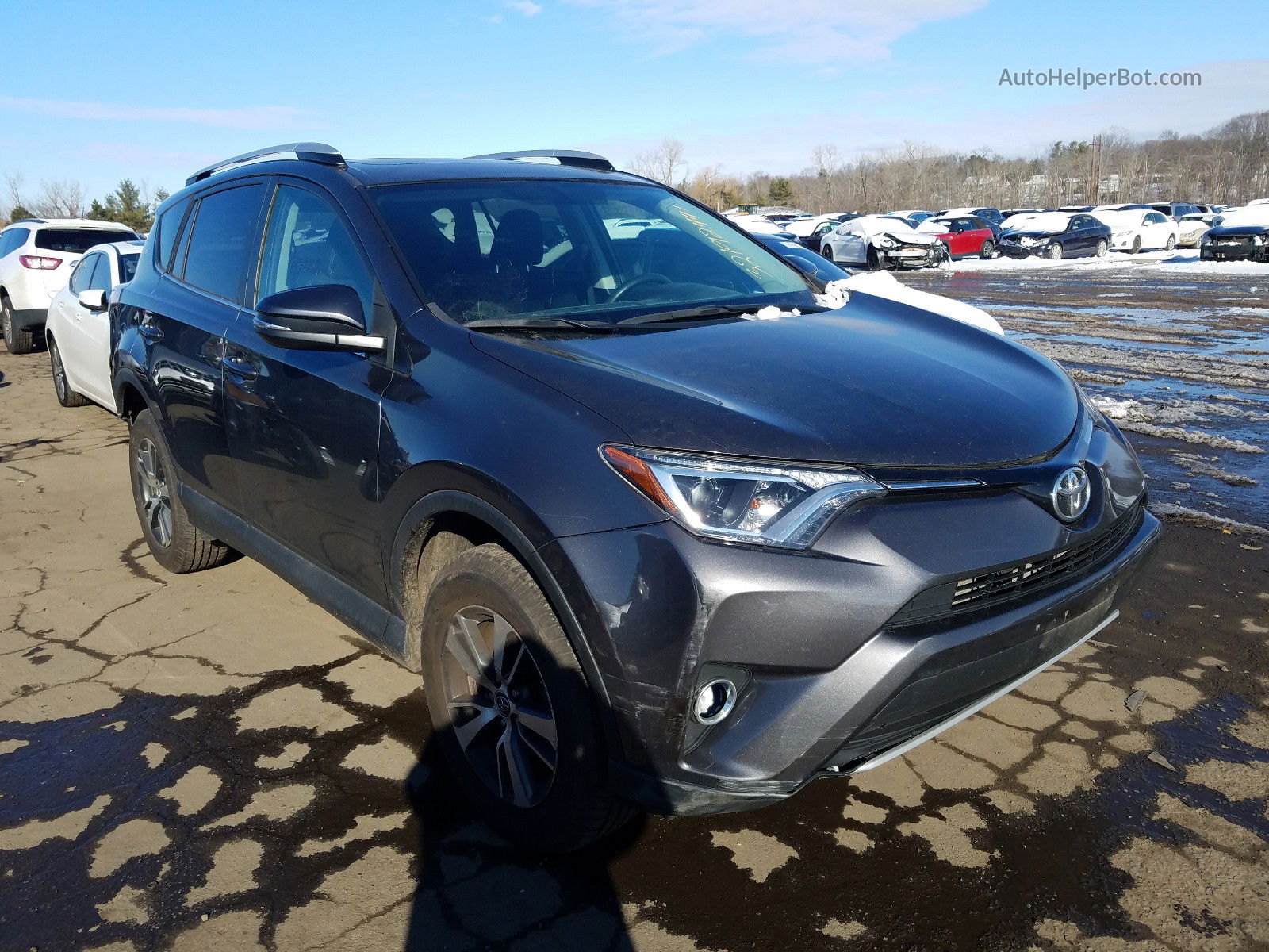 2016 Toyota Rav4 Xle Gray vin: 2T3RFREV1GW537786