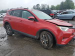 2017 Toyota Rav4 Xle Red vin: 2T3RFREV2HW550242