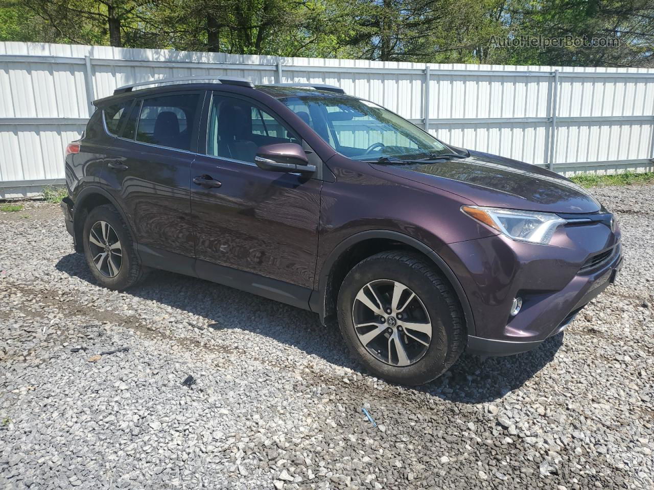 2017 Toyota Rav4 Xle Purple vin: 2T3RFREV3HW556695