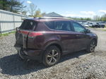 2017 Toyota Rav4 Xle Purple vin: 2T3RFREV3HW556695