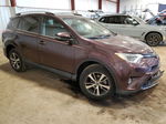 2017 Toyota Rav4 Xle Purple vin: 2T3RFREV5HW685182