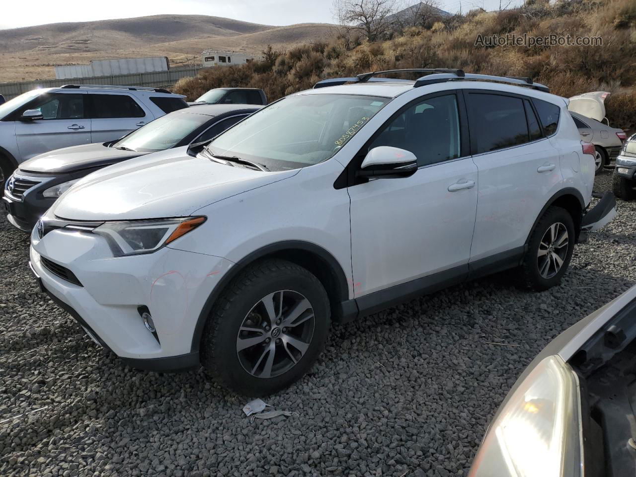 2016 Toyota Rav4 Xle White vin: 2T3RFREV6GW421452