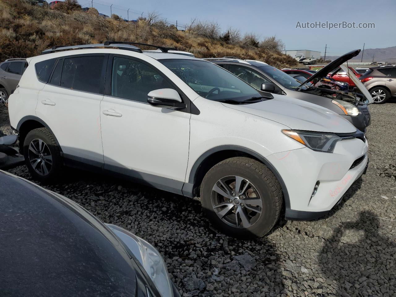 2016 Toyota Rav4 Xle White vin: 2T3RFREV6GW421452