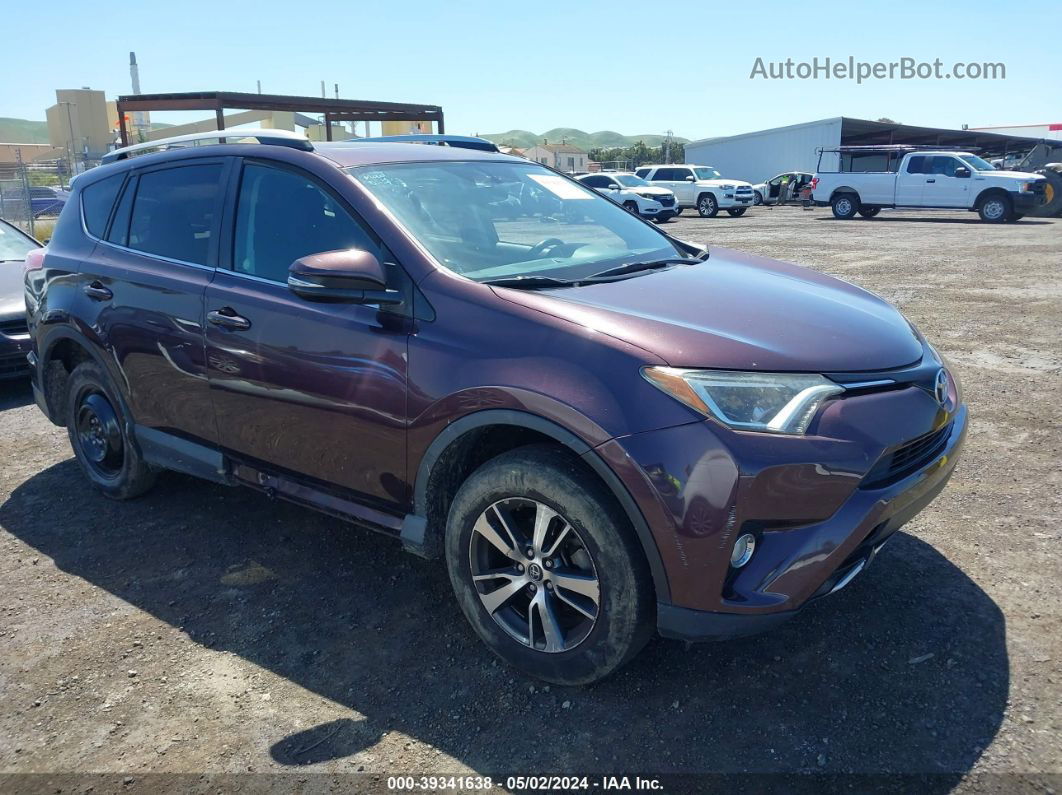 2016 Toyota Rav4 Xle Purple vin: 2T3RFREV7GW486004